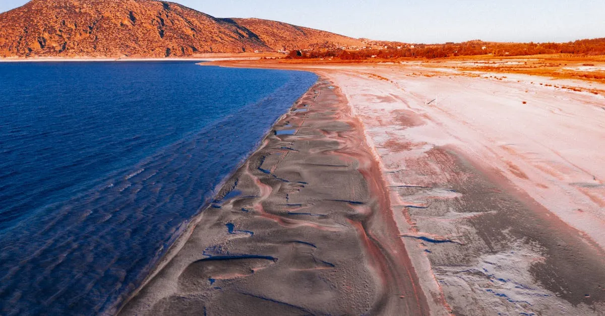 Why Color Matters in Drone Footage