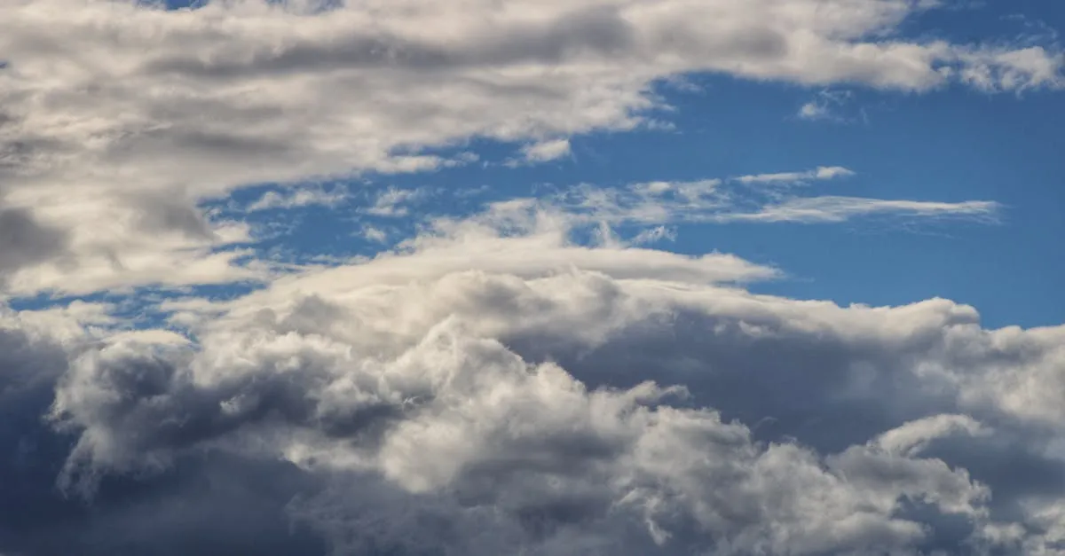 Weather Windows