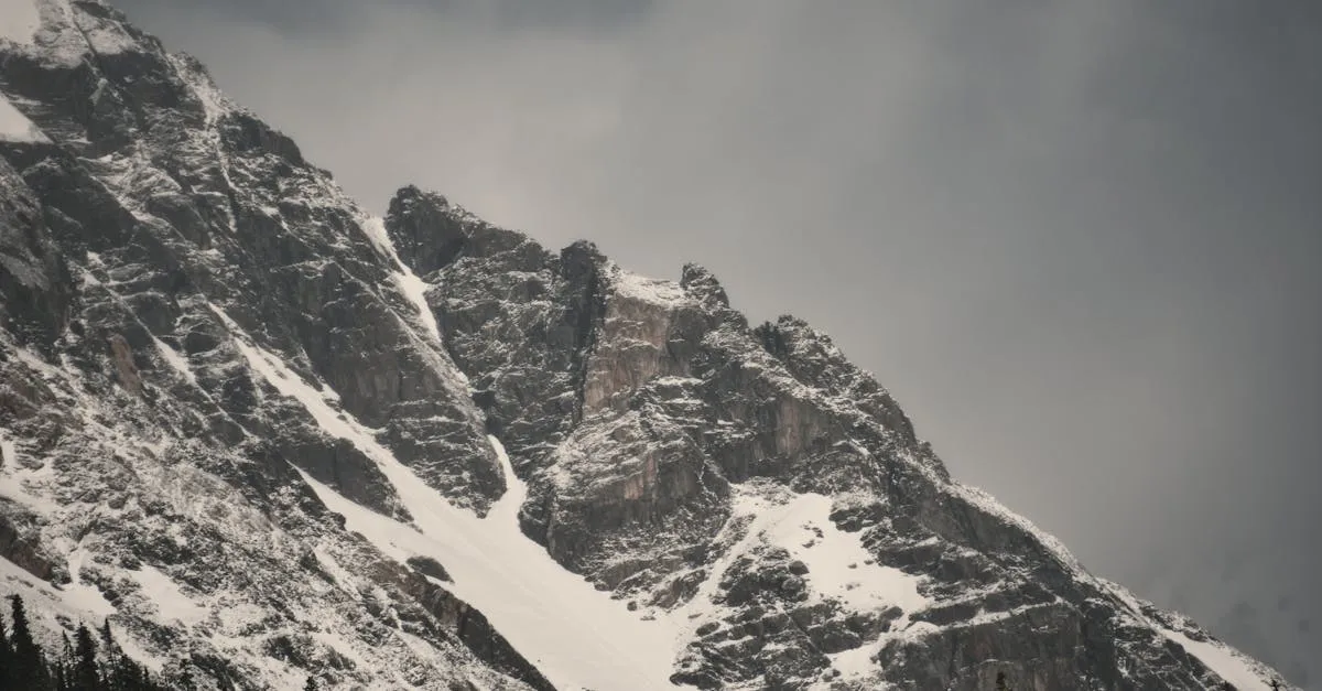 Protecting Your Gimbal