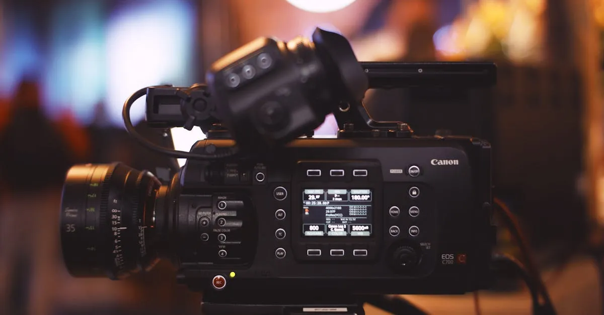Denoising, Export & Selling Stock Footage