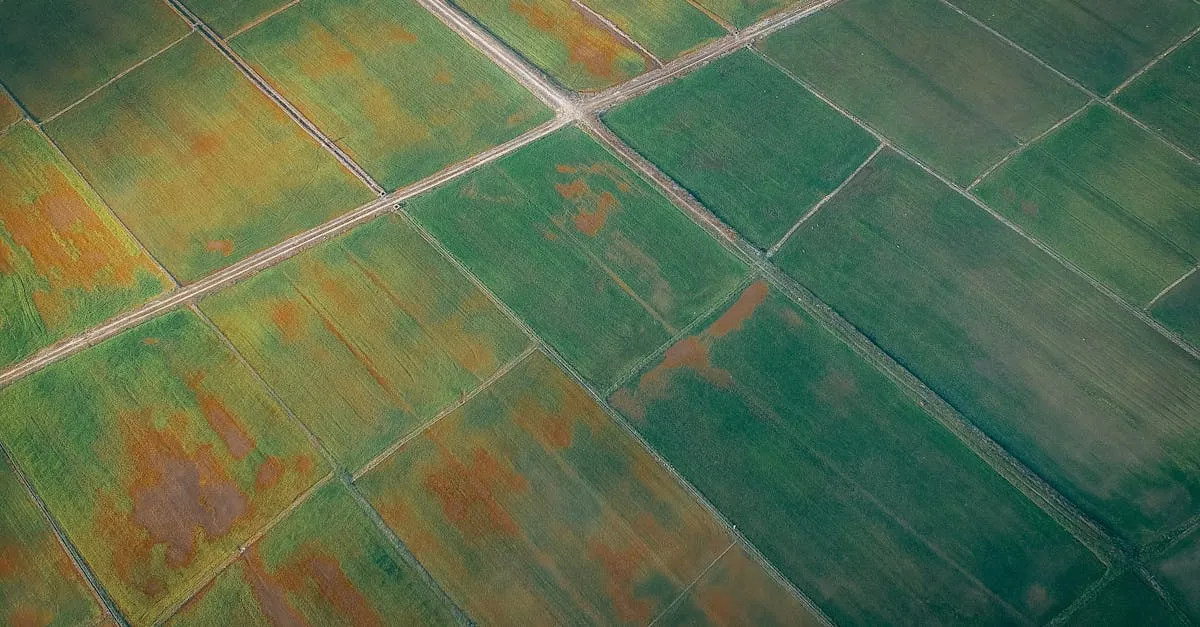 The Essential Travel Drone Shots