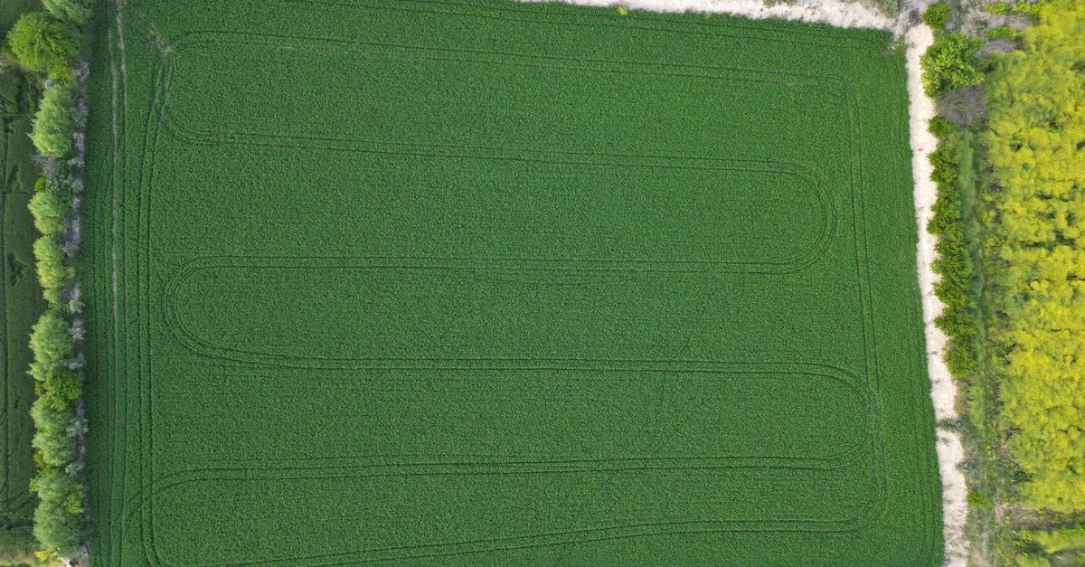 Multispectral Sensors