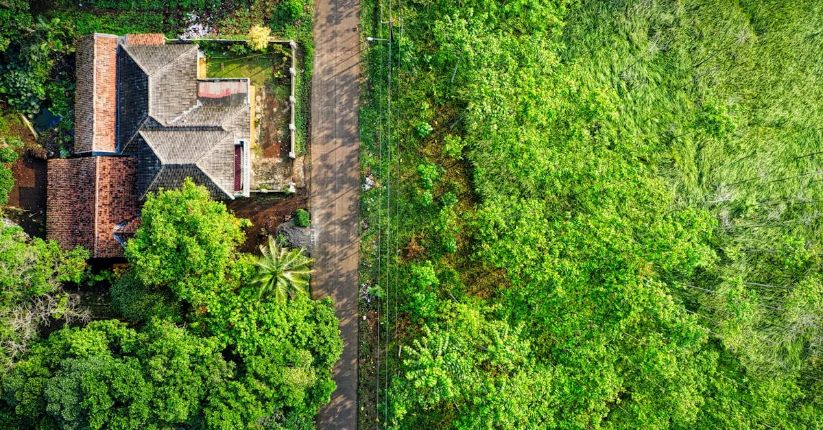 Drone Color Grading & Editing Masterclass